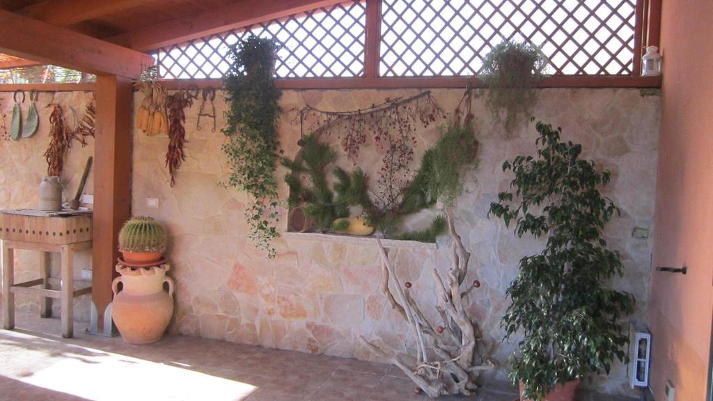 Viola Di Mare Rooms And Parking Termoli Εξωτερικό φωτογραφία