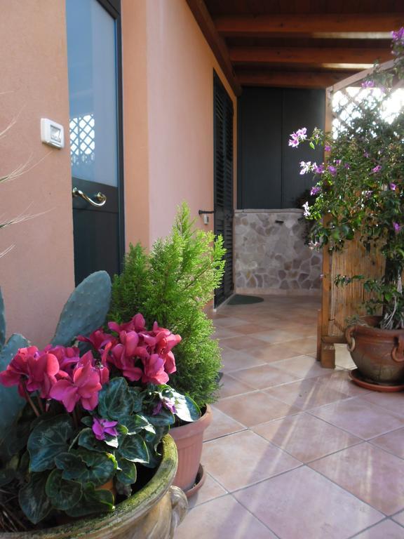 Viola Di Mare Rooms And Parking Termoli Εξωτερικό φωτογραφία